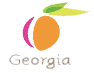 business in Georgia